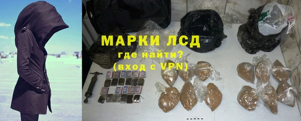 гидра Богородицк