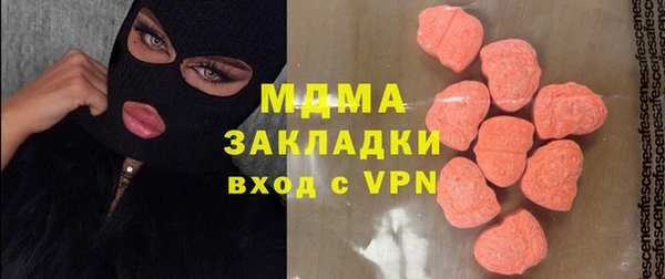 гидра Богородицк