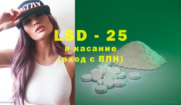 ПСИЛОЦИБИНОВЫЕ ГРИБЫ Бородино