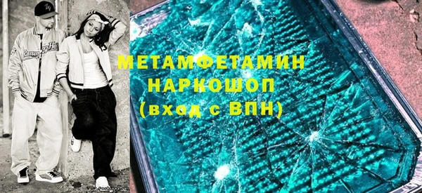 гидра Богородицк