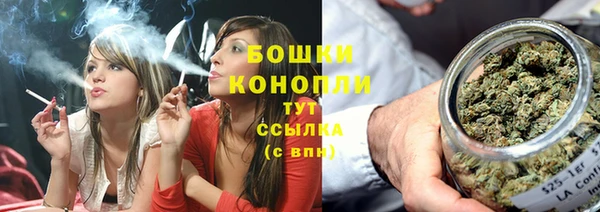 эйфоретик Богданович