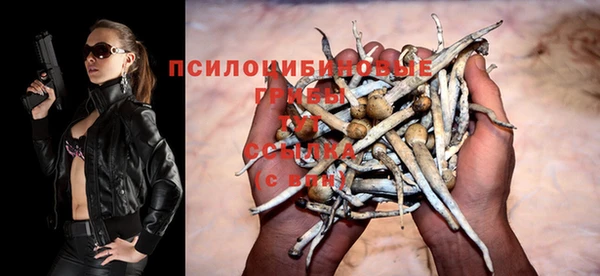 эйфоретик Богданович