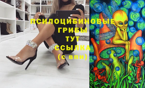 гидра Богородицк
