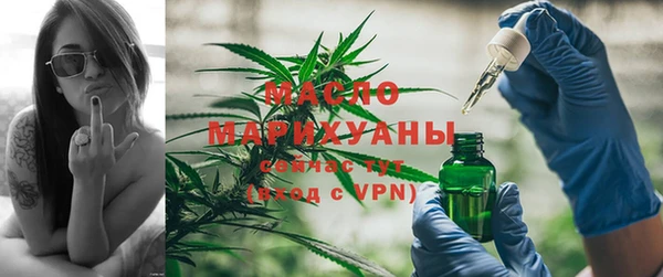 гидра Богородицк